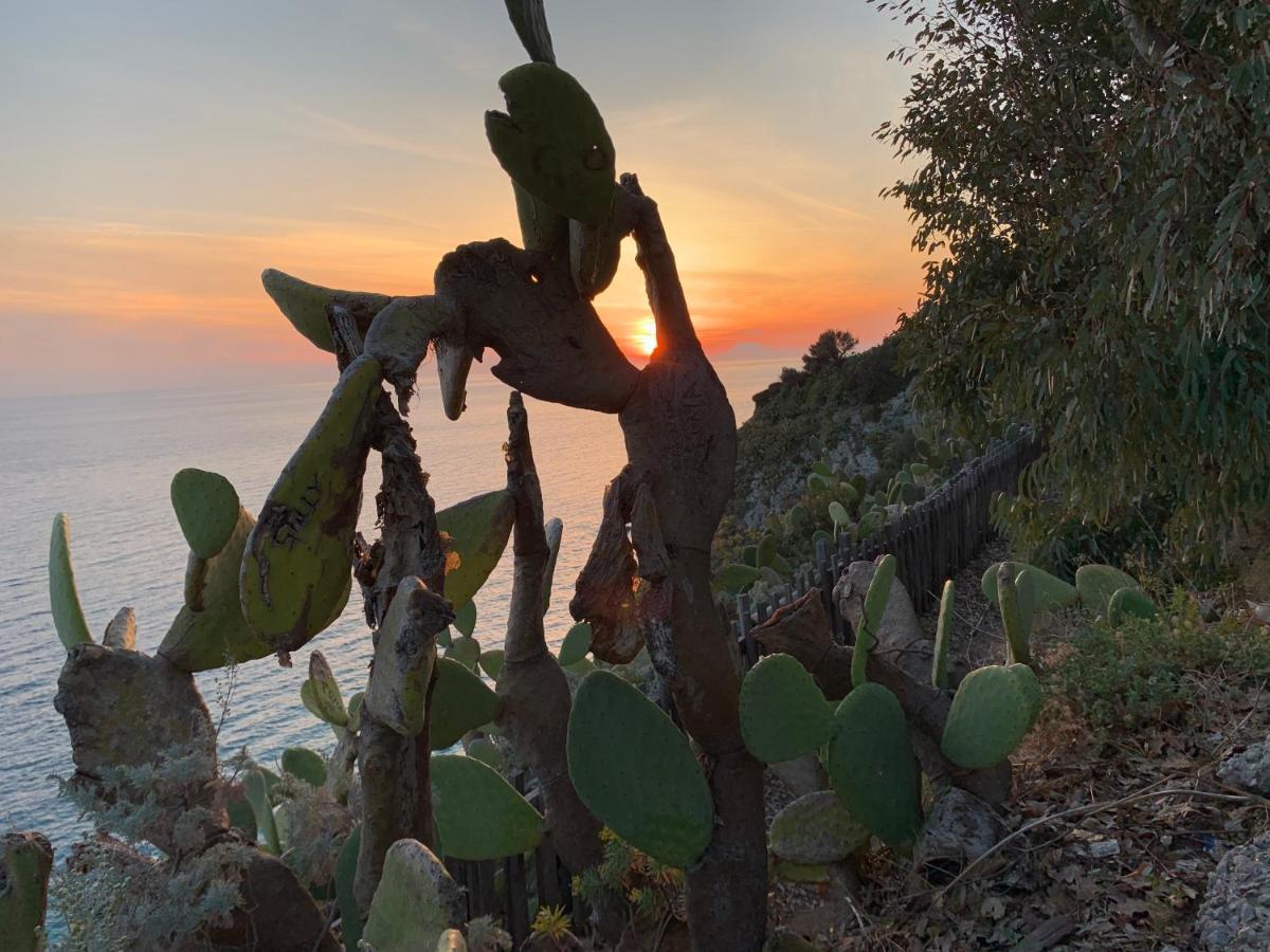 Villa Maria Teresa Capo Vaticano Bagian luar foto